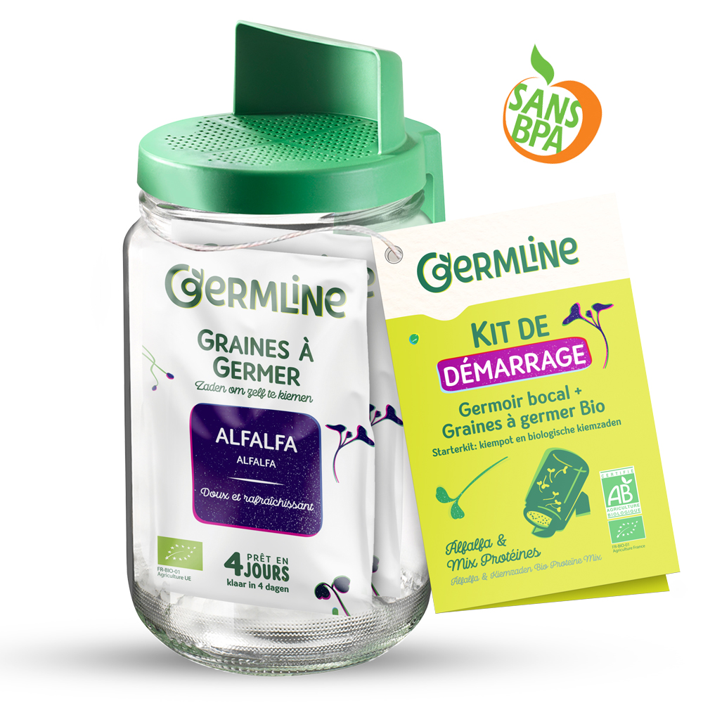 Germoir en verre à l'unité